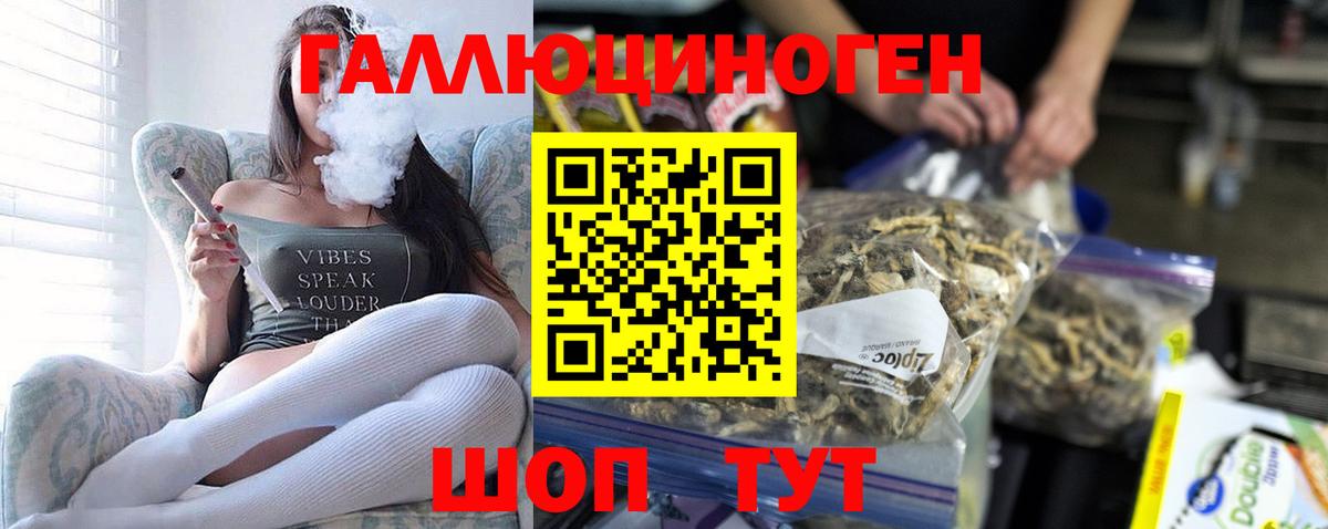 Псилоцибиновые грибы Magic Shrooms Волжский